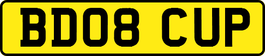 BD08CUP