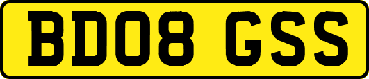 BD08GSS