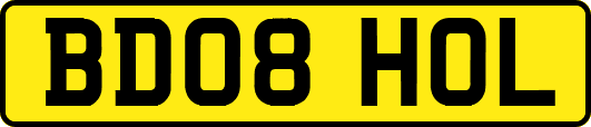 BD08HOL