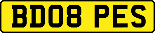 BD08PES