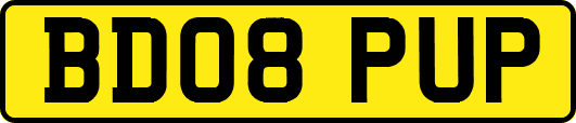 BD08PUP