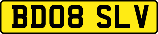 BD08SLV