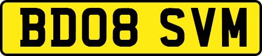 BD08SVM