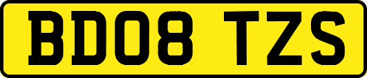 BD08TZS