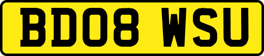 BD08WSU