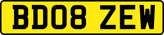 BD08ZEW