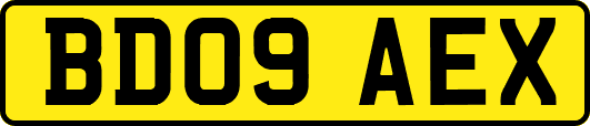 BD09AEX