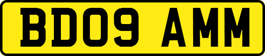 BD09AMM