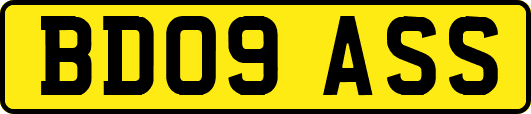 BD09ASS