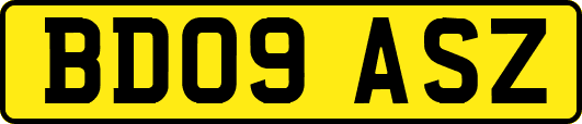 BD09ASZ