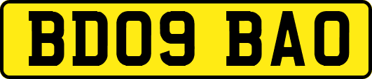 BD09BAO