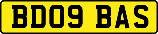 BD09BAS