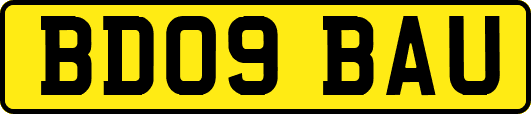 BD09BAU