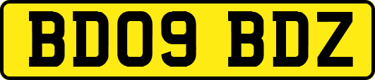 BD09BDZ