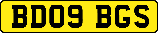 BD09BGS