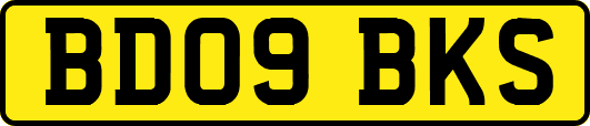 BD09BKS