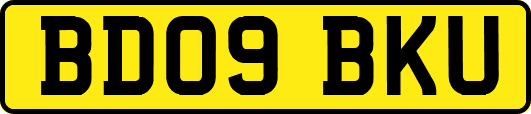 BD09BKU