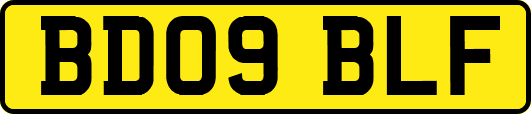 BD09BLF