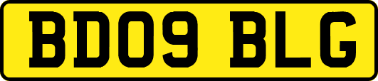 BD09BLG