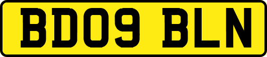 BD09BLN