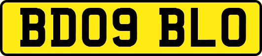 BD09BLO