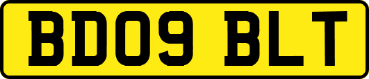 BD09BLT