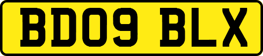 BD09BLX