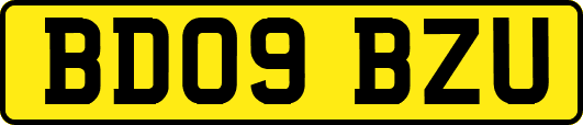 BD09BZU