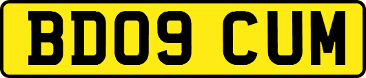BD09CUM
