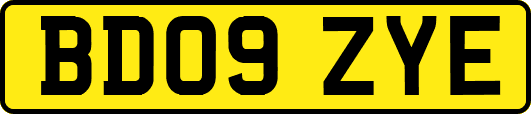 BD09ZYE