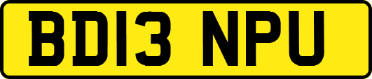 BD13NPU