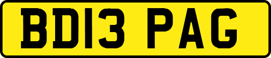 BD13PAG