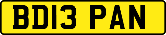 BD13PAN
