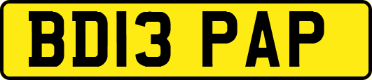 BD13PAP