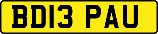 BD13PAU