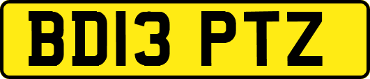 BD13PTZ