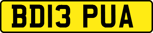 BD13PUA
