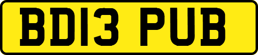 BD13PUB
