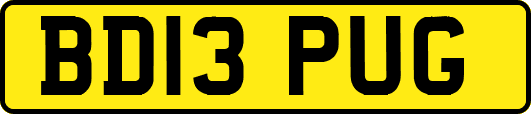 BD13PUG