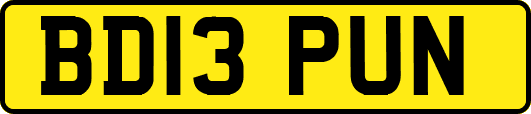 BD13PUN