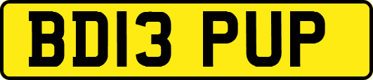 BD13PUP