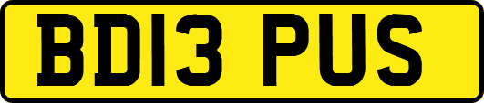 BD13PUS