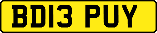 BD13PUY