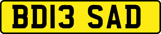 BD13SAD