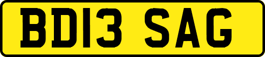 BD13SAG