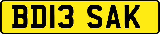 BD13SAK