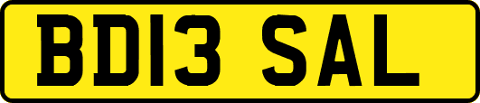 BD13SAL