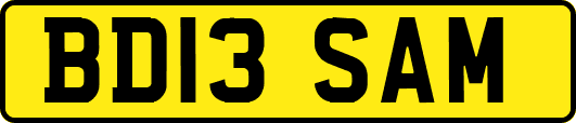 BD13SAM