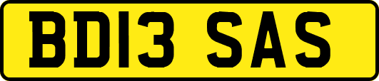 BD13SAS