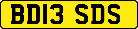 BD13SDS